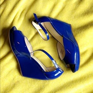 RSVP Blue Wedges